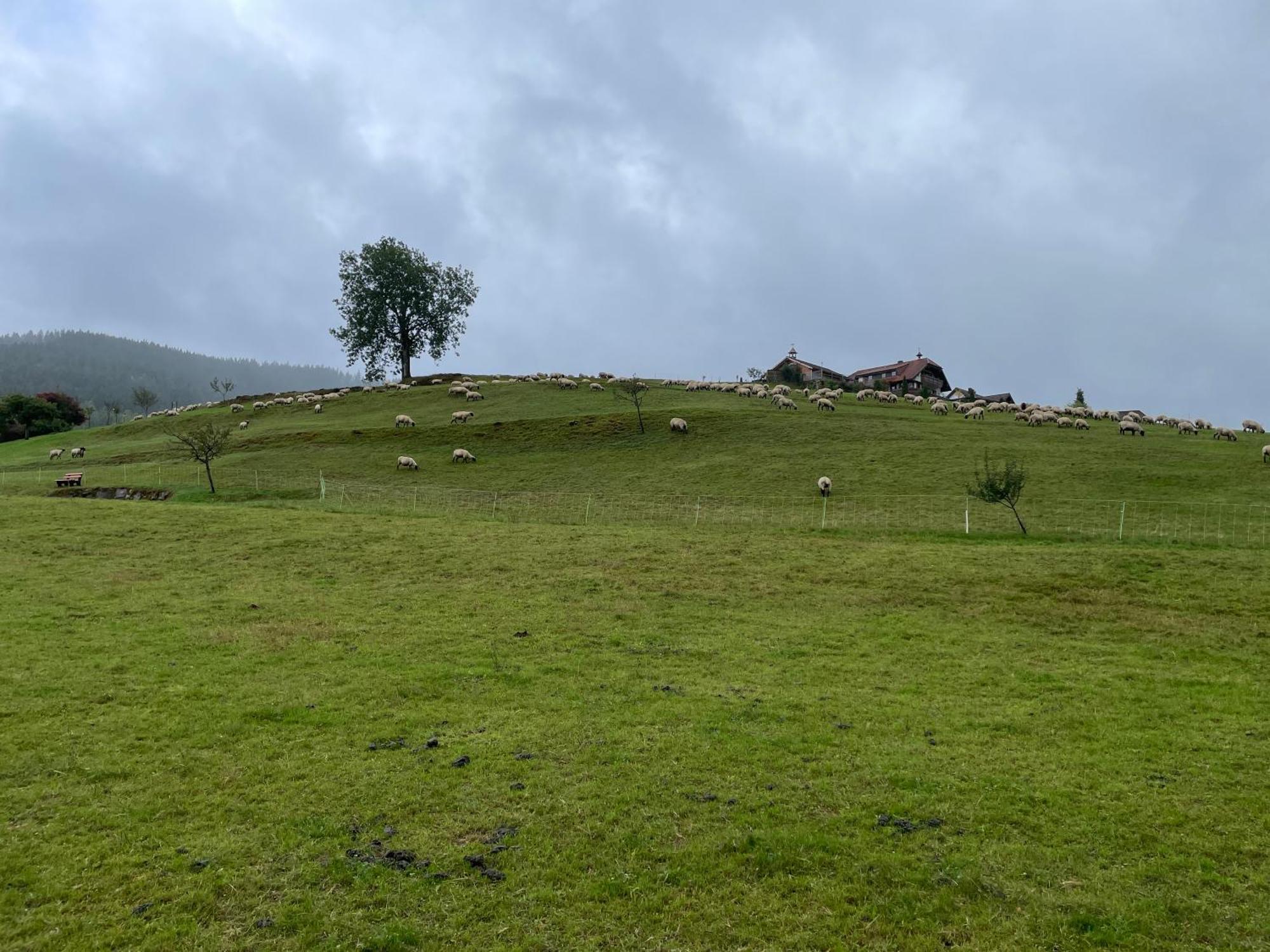 Апартаменты Am Baumgarten